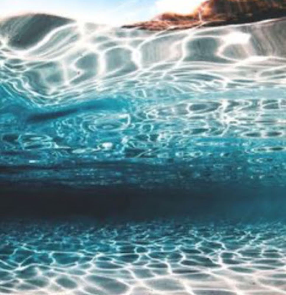 Meet your Posher, Marley